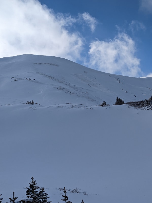 Observation photo 1