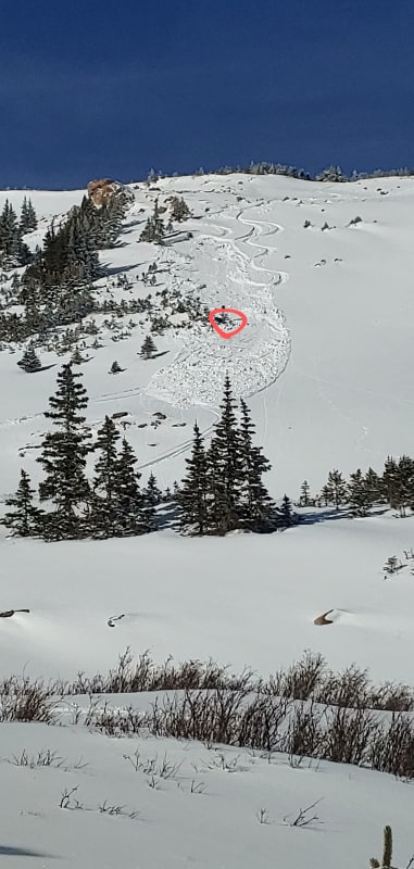 Observation photo 2
