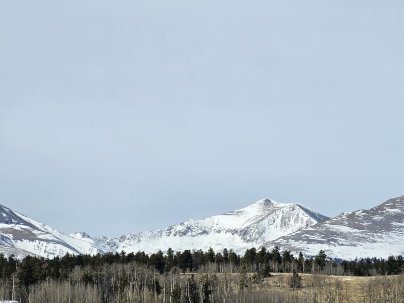 Observation photo 4