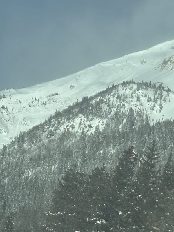 Observation photo 1