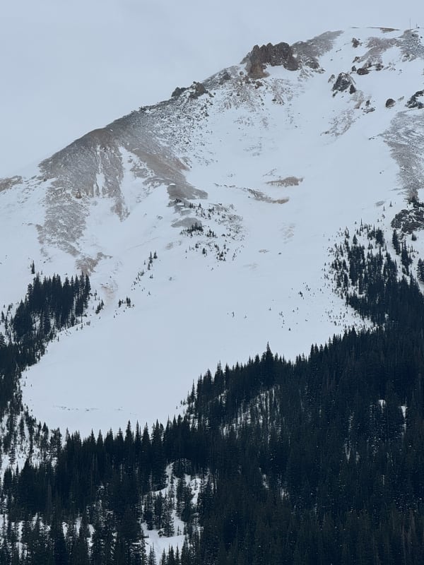 Observation photo 1