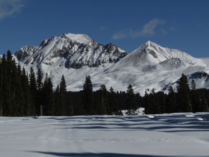 Observation photo 4