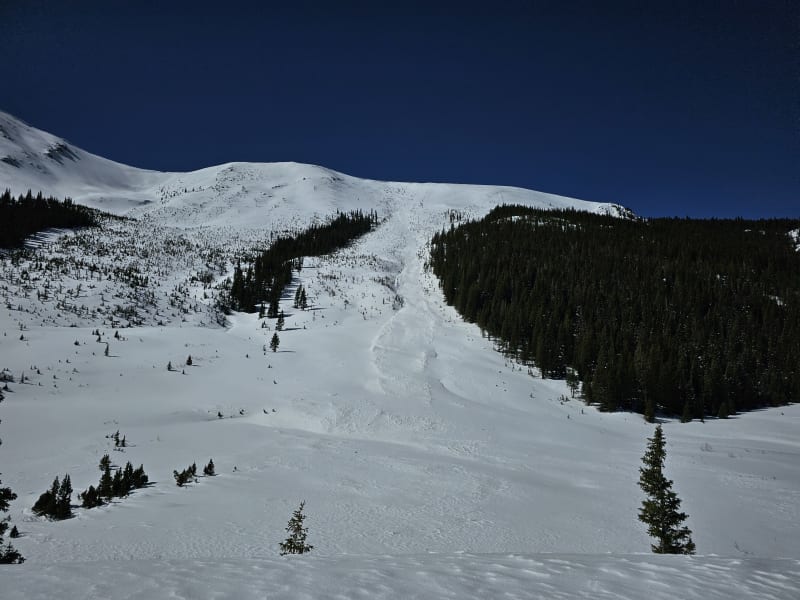 Observation photo 1