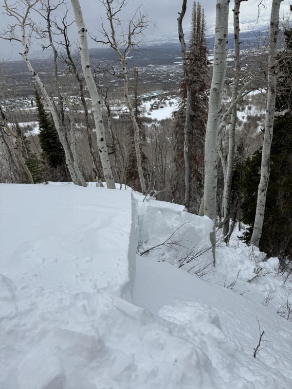 Observation photo 3