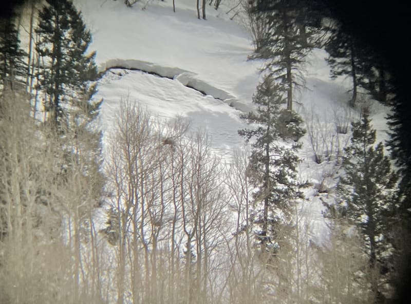 Observation photo 2