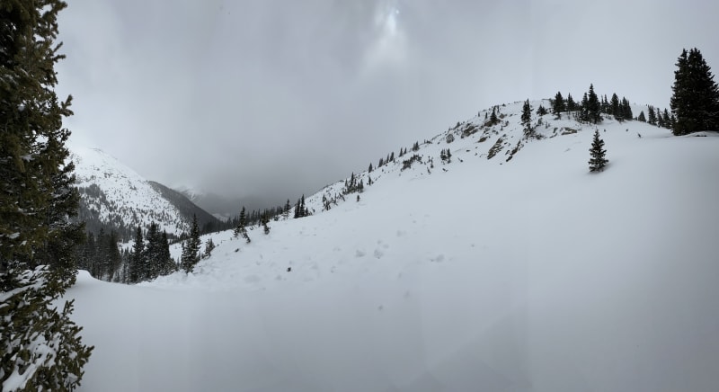Observation photo 1