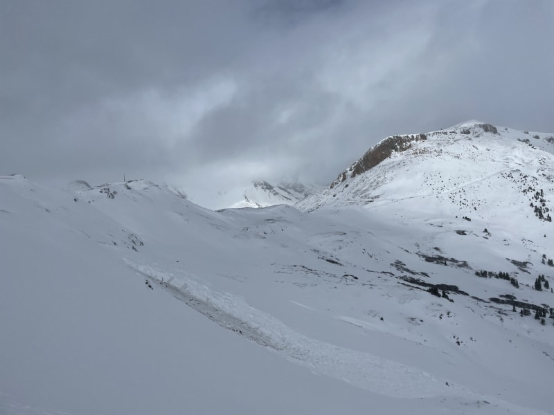 Observation photo 2