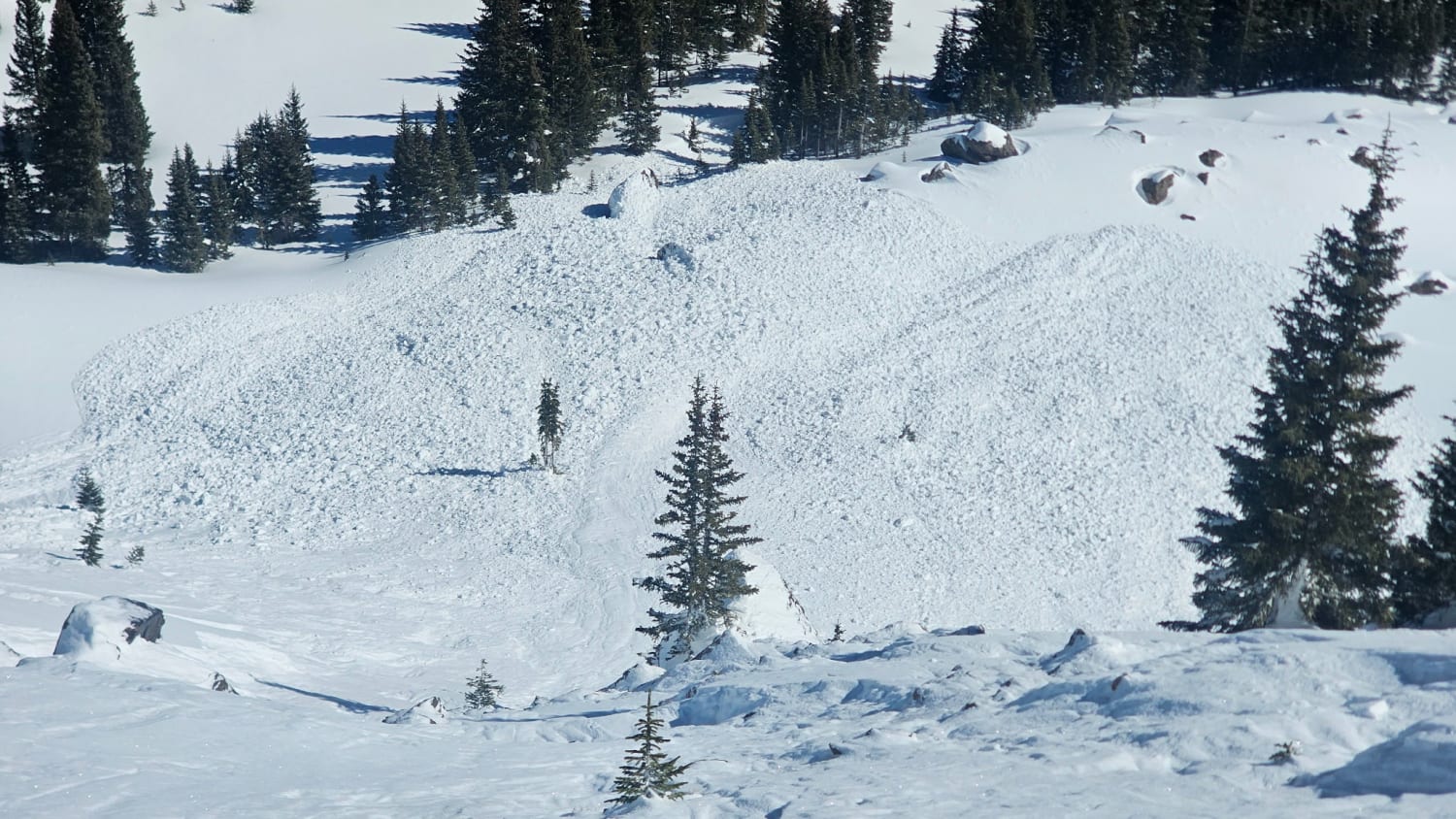 Observation photo