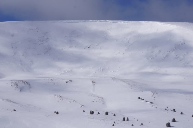 Observation photo 5