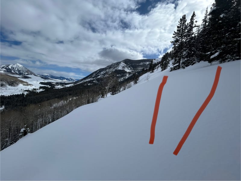 Observation photo 3