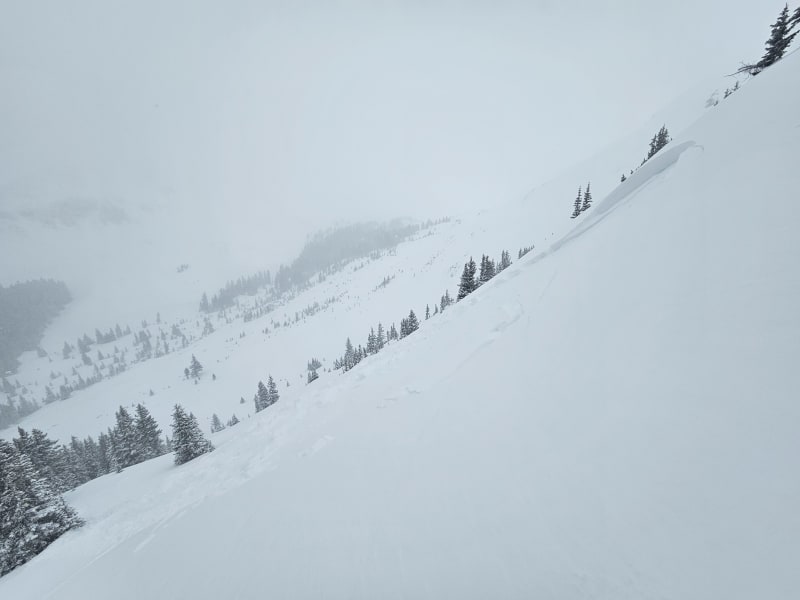 Observation photo 1