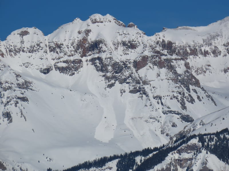Observation photo 1