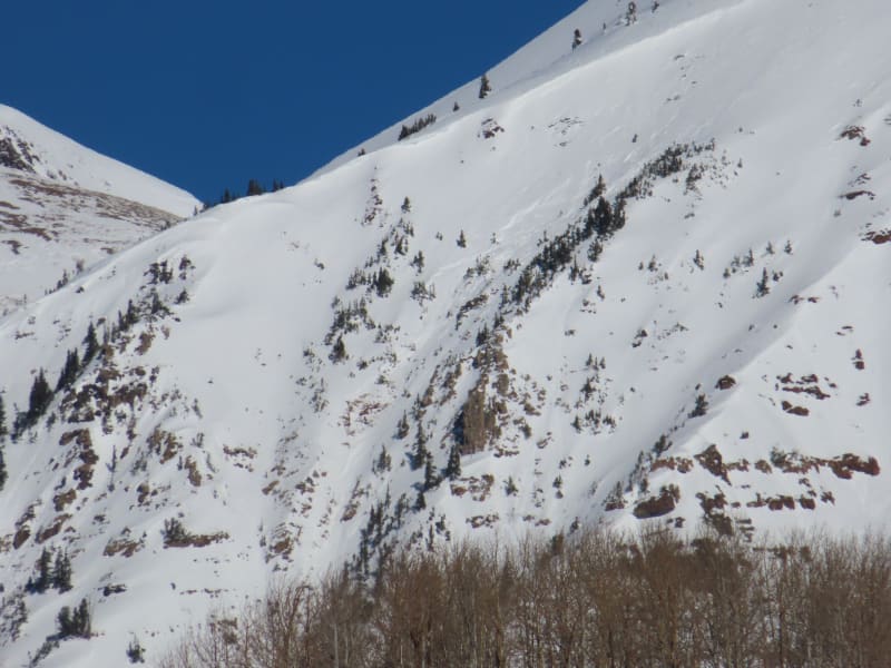 Observation photo 1