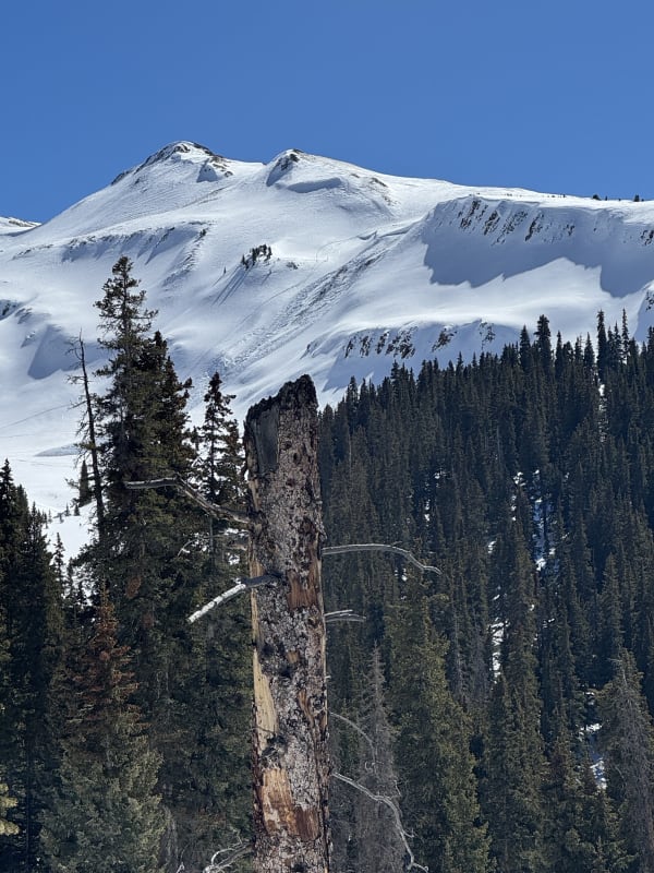 Observation photo 1