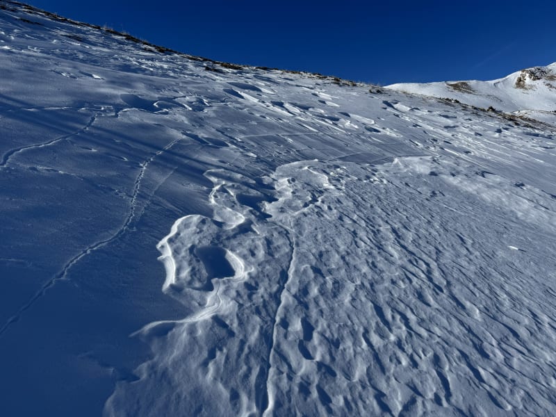 Observation photo 2