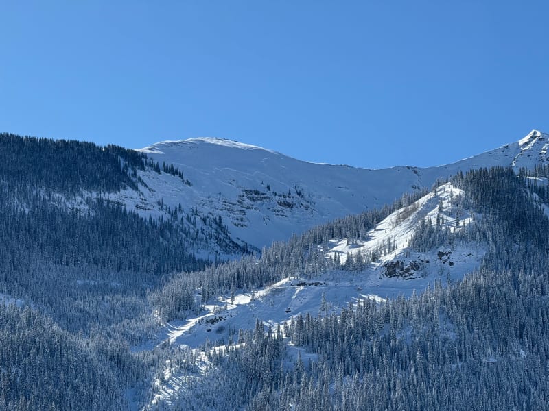 Observation photo 5
