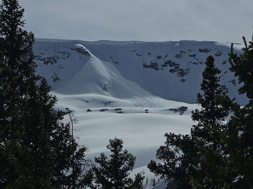 Observation photo 1