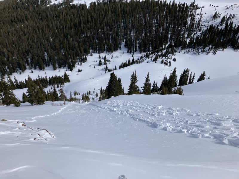 Observation photo 2