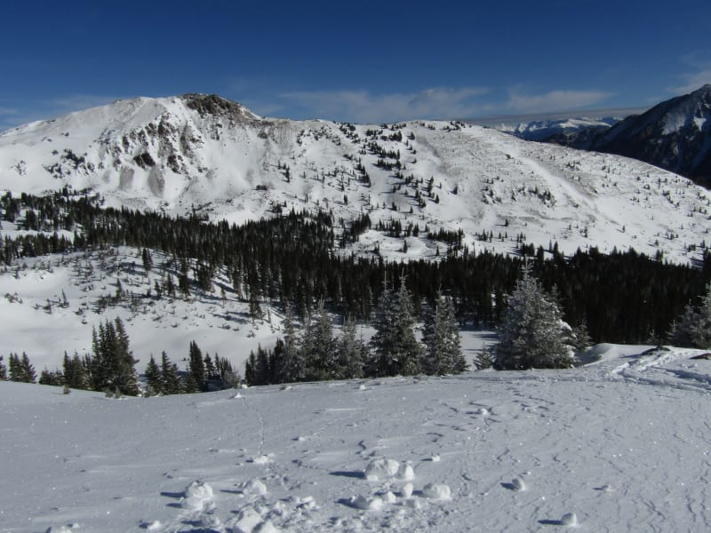 Observation photo 3