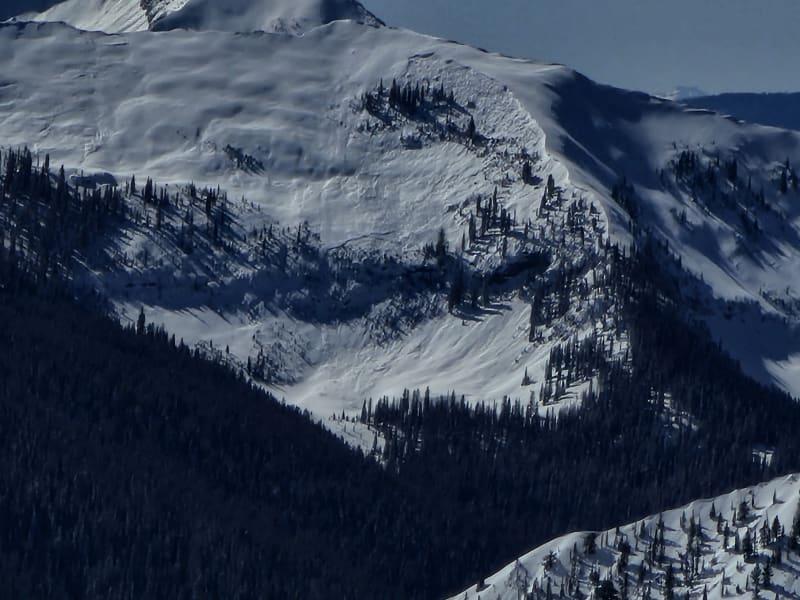Observation photo 1