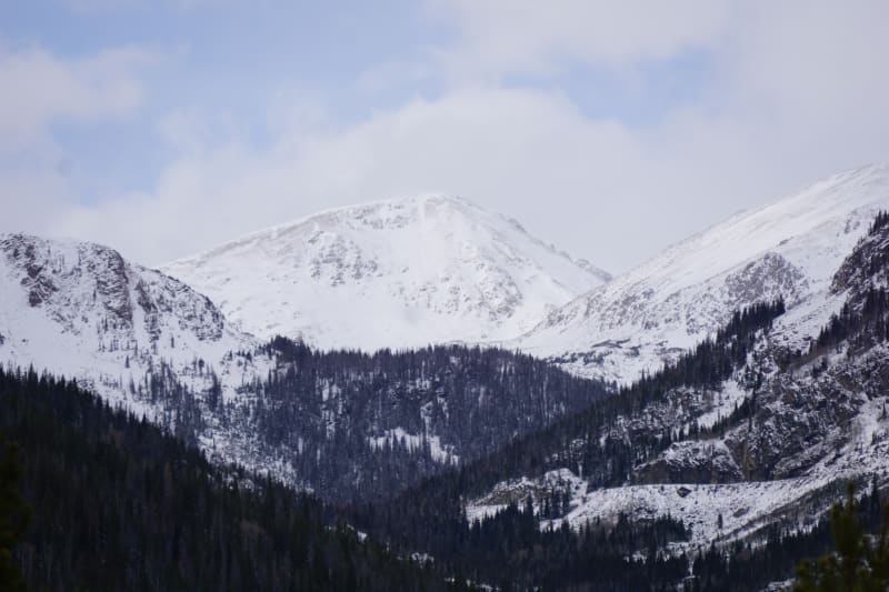 Observation photo 3