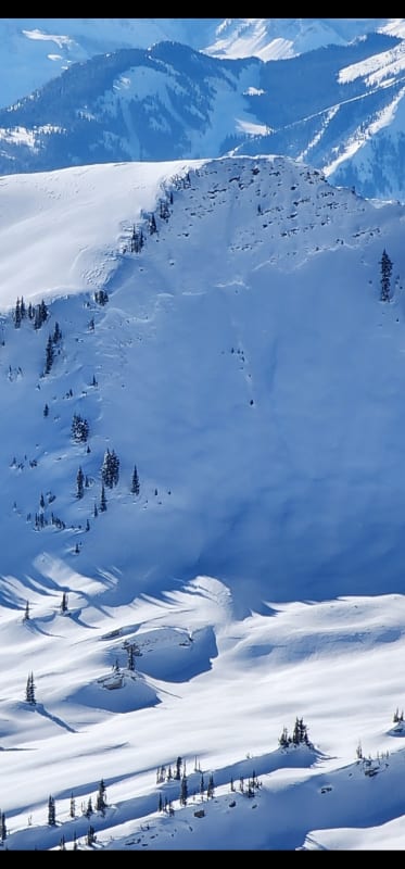 Observation photo 6
