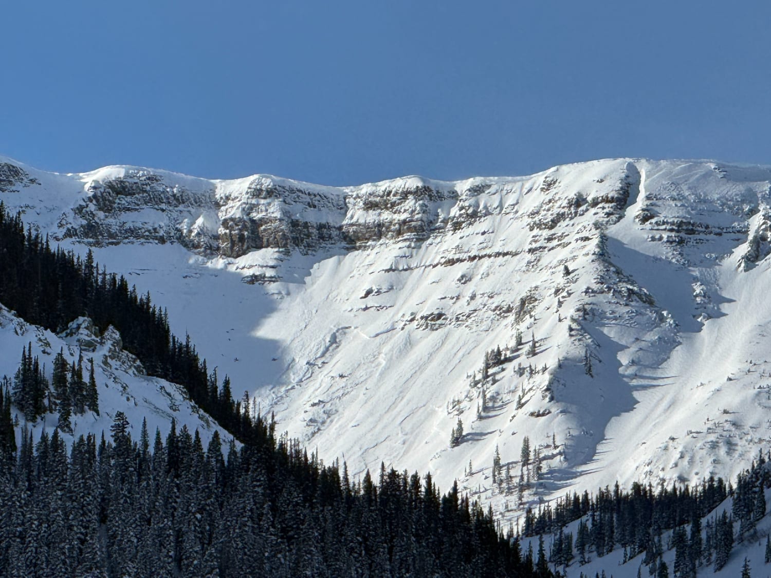 Observation photo