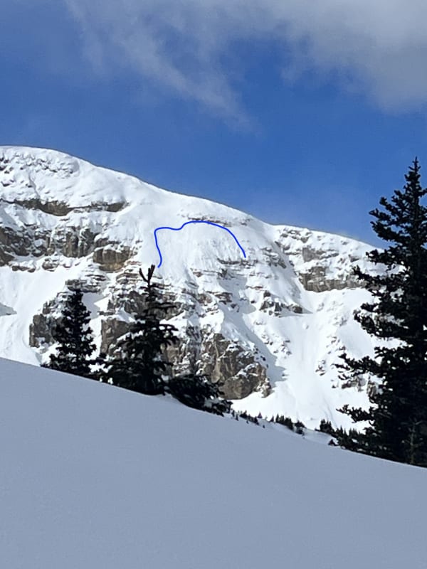 Observation photo 1