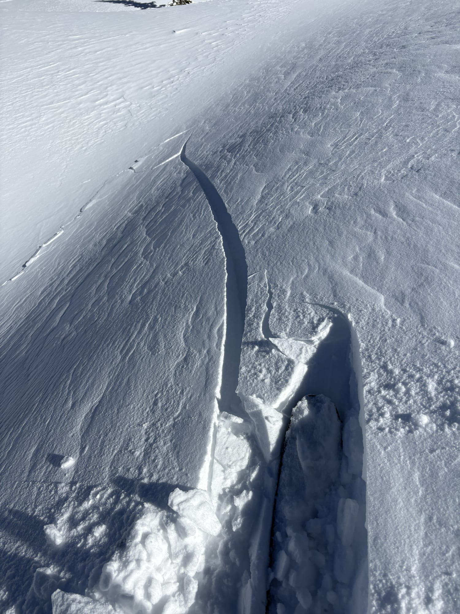 Observation photo