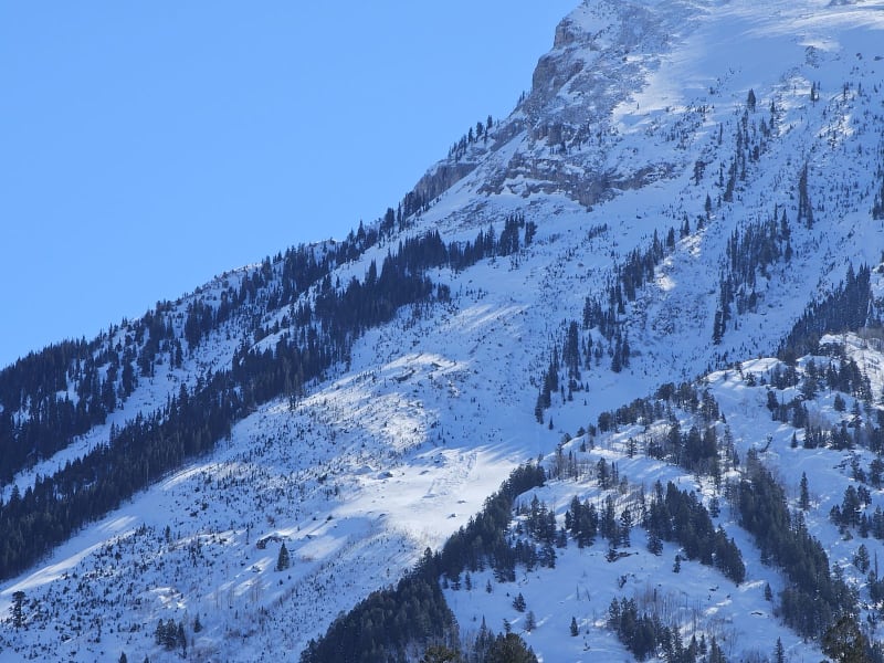 Observation photo 1