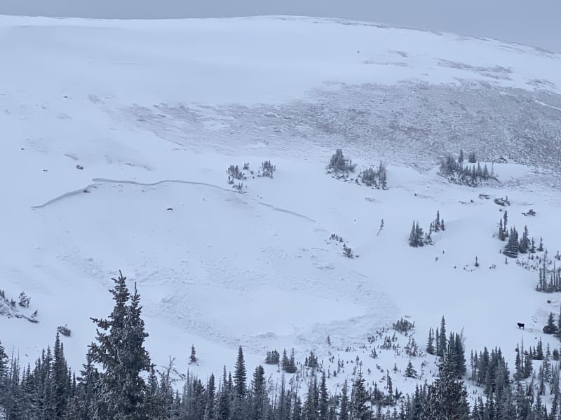 Observation photo 1