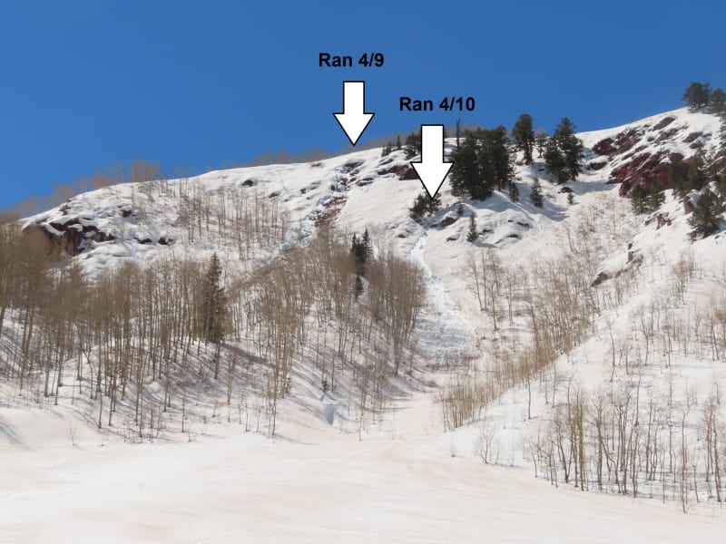 Observation photo 6
