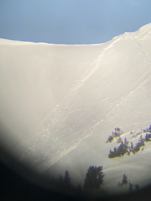 Observation photo 1