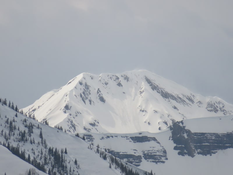Observation photo 2