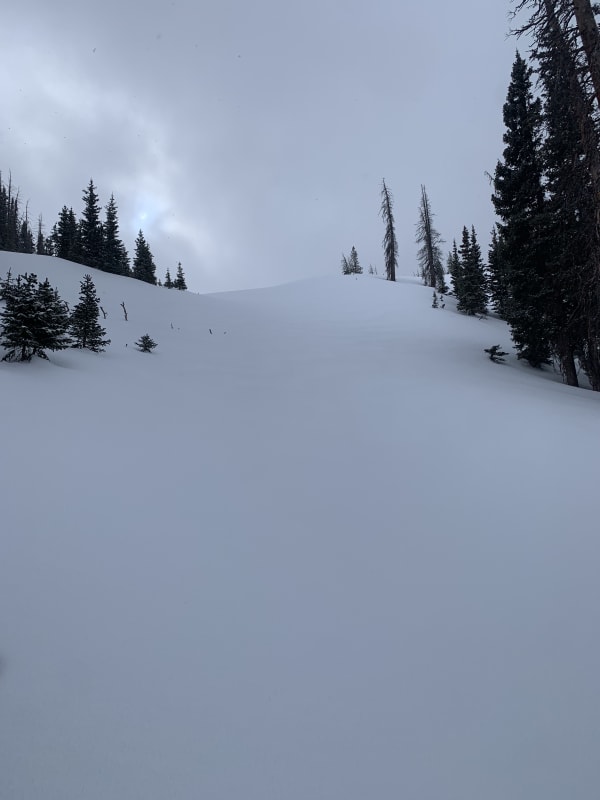 Observation photo 1