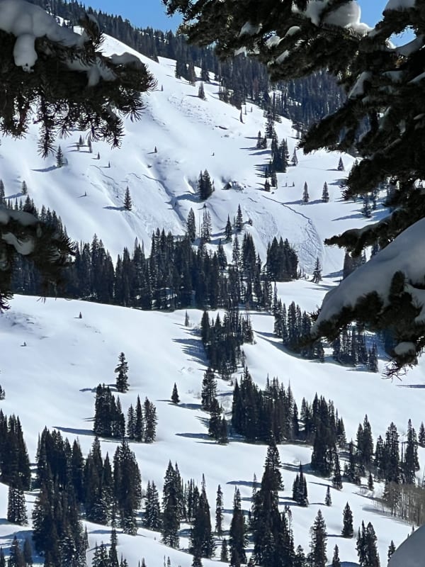Observation photo 1
