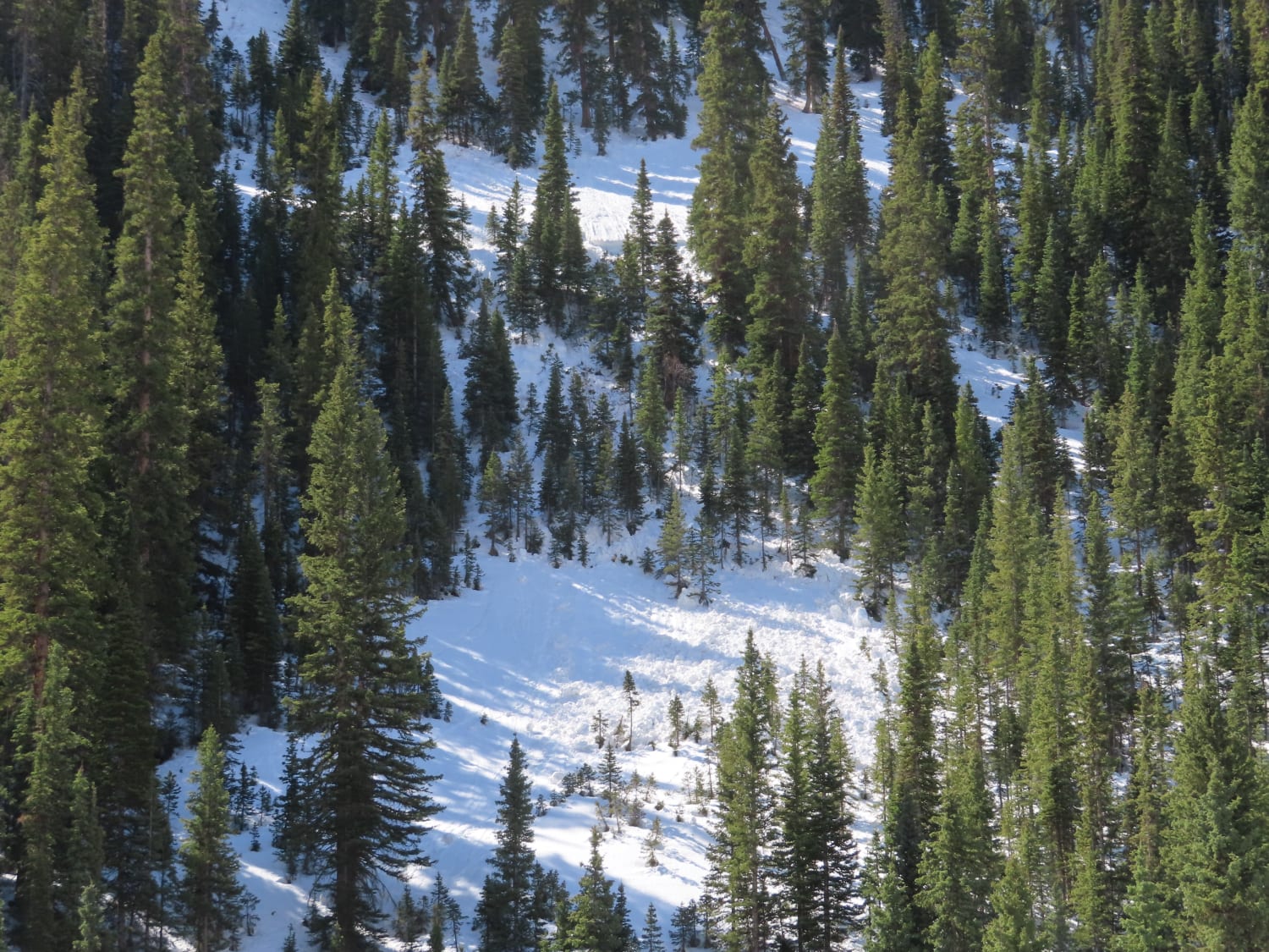 Observation photo
