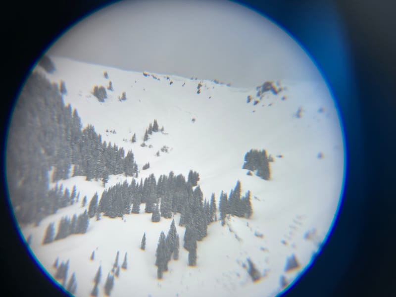 Observation photo 1