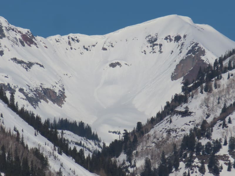 Observation photo 6