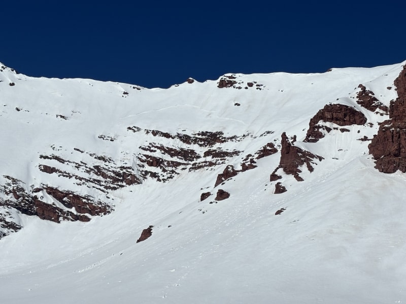Observation photo 6