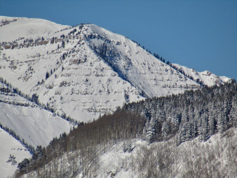 Observation photo 3