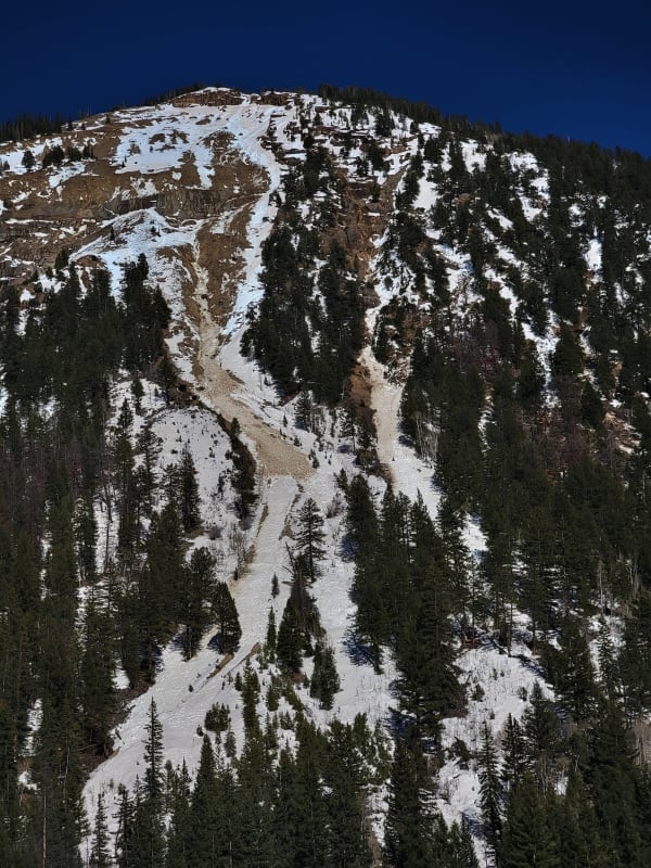 Observation photo 1