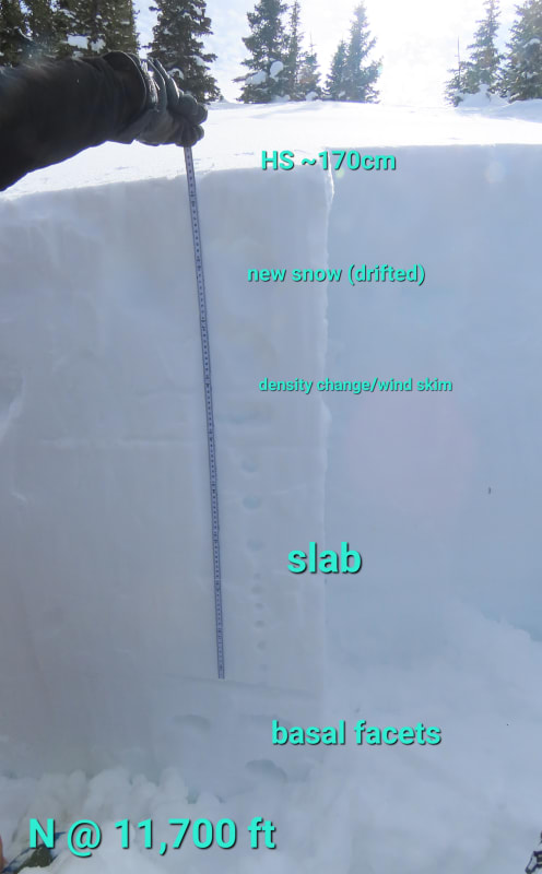Observation photo 3