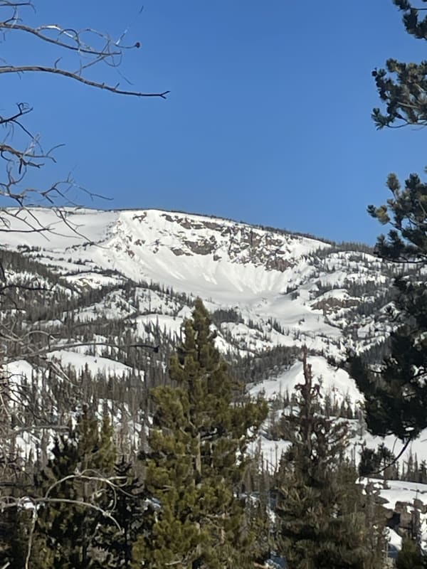 Observation photo 1