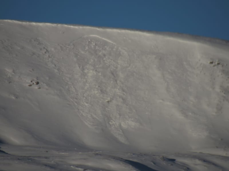 Observation photo 1