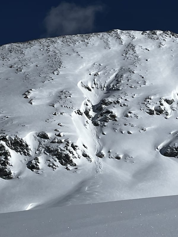 Observation photo 3