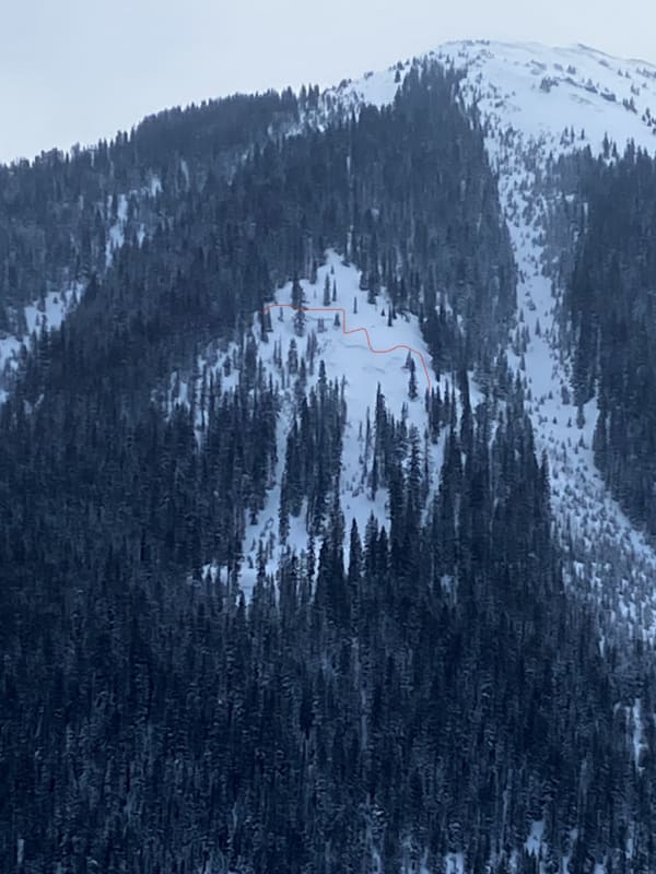 Observation photo 1