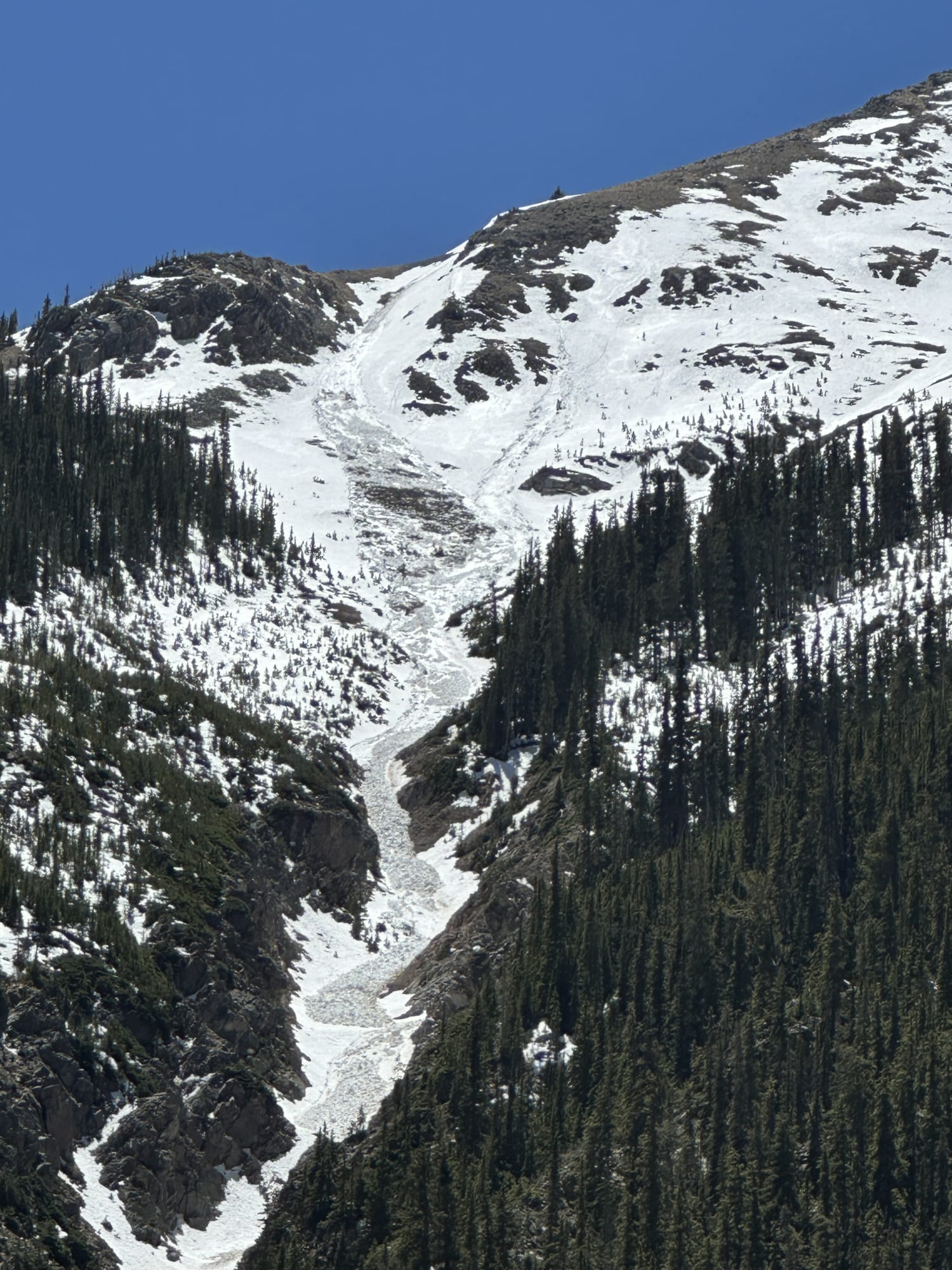 Observation photo