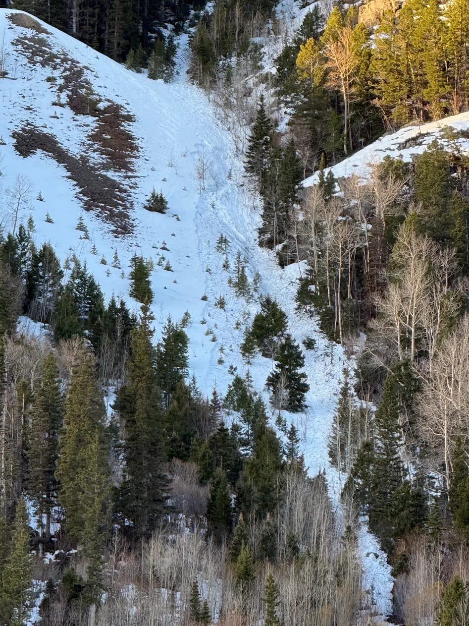 Observation photo