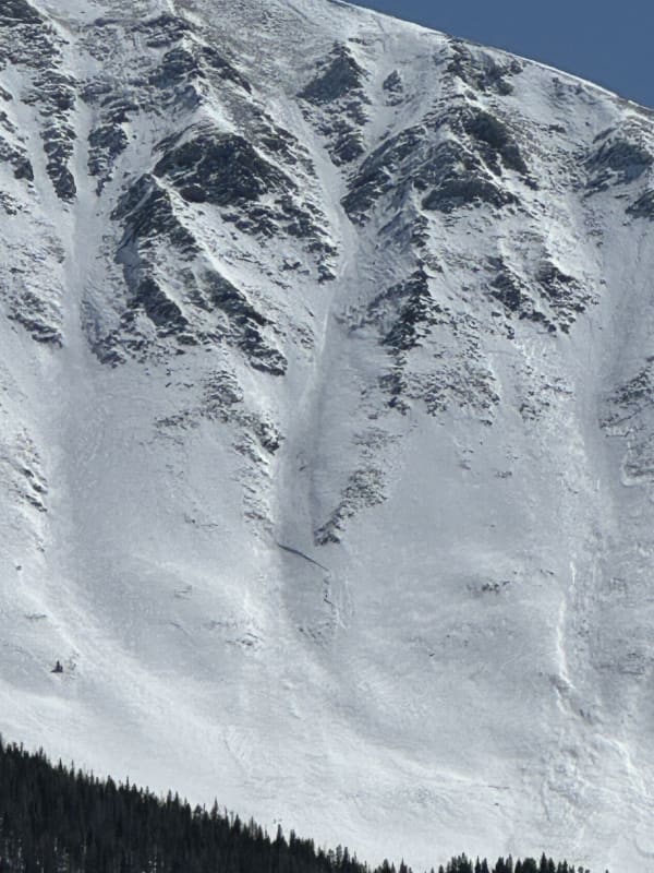 Observation photo 1